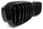 Preview: BMW X5 X6 F15/F16 Sportgrill Grill Nieren Glanz 2