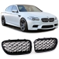Preview: 5er BMW F10 F11 Performance Nieren Glanz
