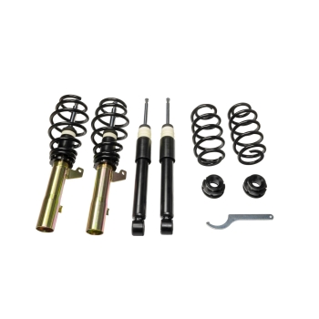 DTS Gewindefahrwerk Audi S3