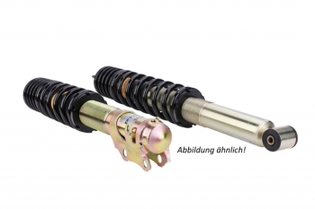 DTSLine SX Gewindefahrwerk 5er BMW E39 Touring mit Schrauben