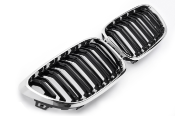 Nierengrill 2er BMW F22 F23 F87 M2
