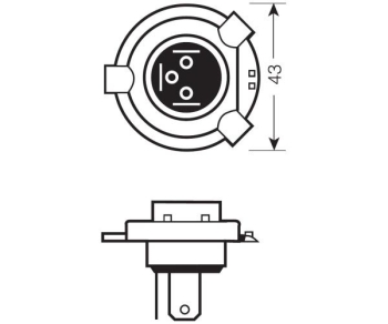 L1003-1