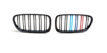5er BMW F10 F11 Nieren Matt M-Farben